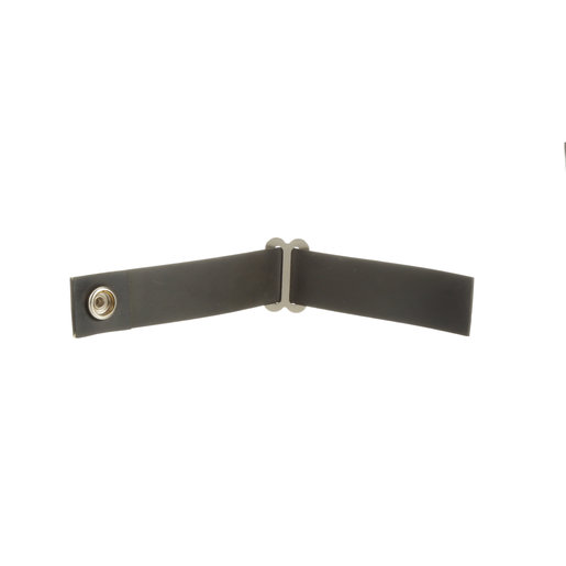 Strap and Buckle Strap and Buckle