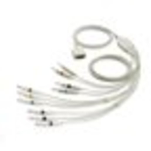 CP50 and/or CP150 10-Lead,AHA,Banana (1.5M/59 inches) ECG Cable CP50 and/or CP150 10-Lead,AHA,Banana (1.5M/59 inches) ECG Cable